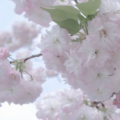 荔湾FurryQQ群介绍